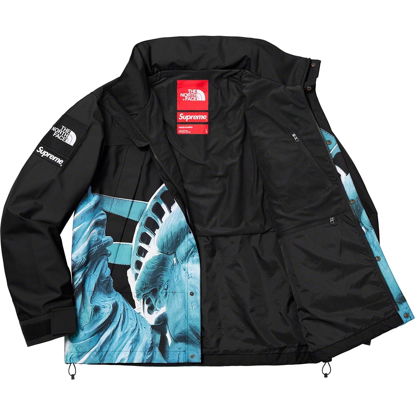 Supreme®/The North Face® Statue of Liberty Mountain Jacket view 8